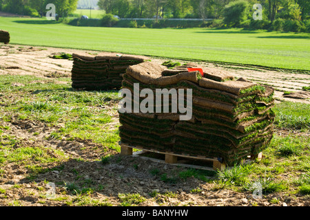 readymade lawn, folded sods on pallet Stock Photo