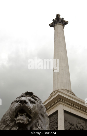 lions head and Nelsons column on a stormy day in Trafalgar Sq. London Stock Photo