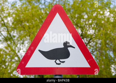 Caution Ducks Crossing Uk Road Traffic Sign Signs Roadsigns Stock Photo
