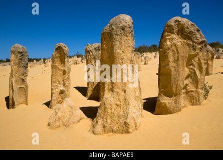 The Pinnacles is contained within Nambung National Park Stock Photo