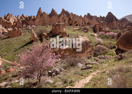 Fairy chimneys and dwellings in Cappadocia Turkey Stock Photo