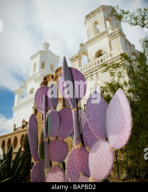 San Xavier del Bac Mission Tucson Arizona Church Renovations Great for travel adventure religion tourism outdoor recreation them Stock Photo