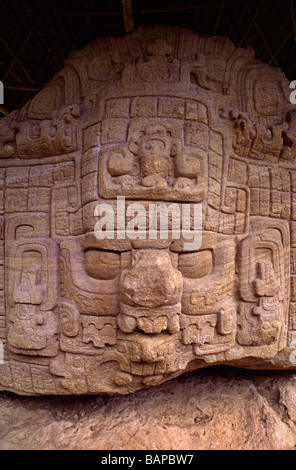 MAYAN ZOOMORPH dated to 795 AD with beautifully carved GLYPHS and face of god or ruler QUIRIGUA RUINS GUATEMALA Stock Photo