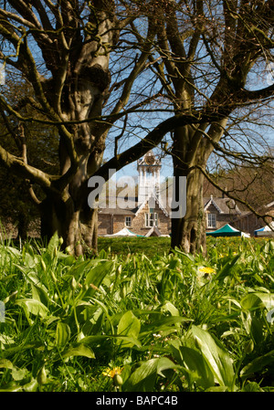 The clock tower above the old stable block at Holker Hall in Cumbria Stock Photo