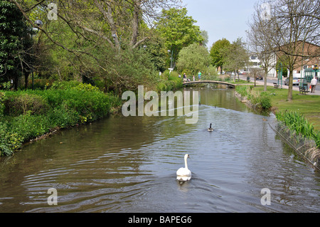 The Water Gardens, Hemel Hempstead, Hertfordshire, England, United Kingdom Stock Photo