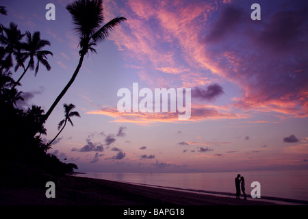 Purple sunset with palm trees Stock Photo