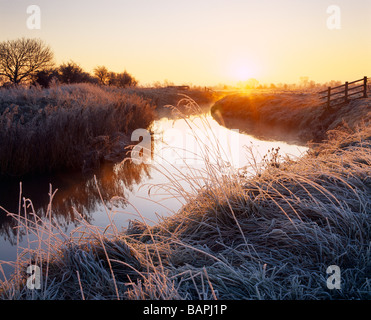 Sunrise over the River Brue on South Moor on the Somerset Levels at Glastonbury, Somerset, England Stock Photo