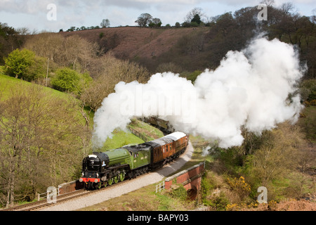 Tornado Peppercorn class A1 Pacific 60163 Stock Photo