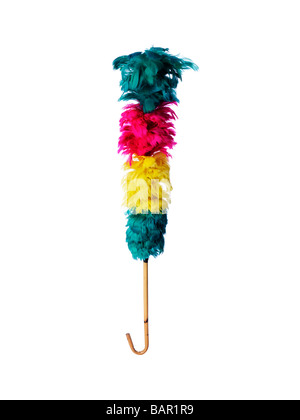 Multi coloured feather duster Stock Photo