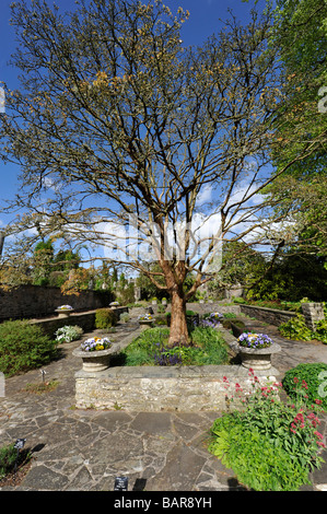 Dyffryn Gardens, Near Cardiff, Wales Stock Photo