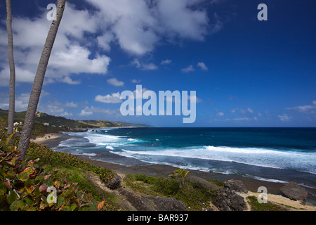 Bathsheba, the rugged east coast of Barbados, 'West Indies' Stock Photo