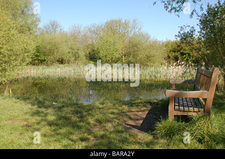 A mini lake at Fryent Country Park, Fryent Way, Kingsbury, London ...