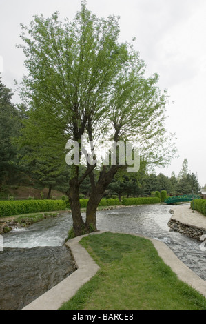 Water flowing in a garden, Kokernag, Jammu and Kashmir, India Stock Photo