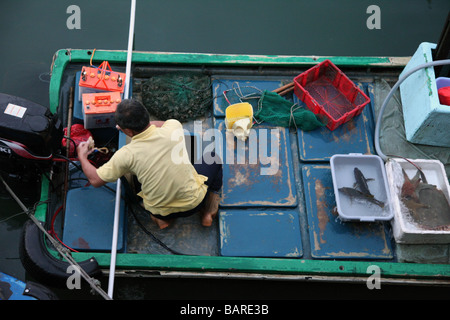 It's a fisherman back to the harbor to sale his fishes. It view from the top. He has a  green boat and few fishes in plastic box Stock Photo