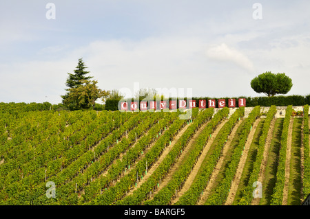 Couly-Dutheil vineyard at Chinon Indre-et-Loire France Stock Photo