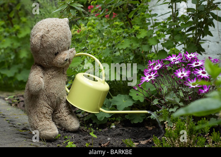 Teddy in the garden watering the flowers Stock Photo