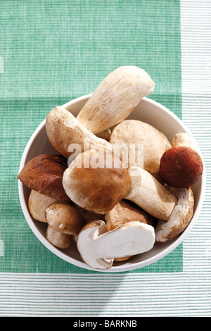 Ceps in bowl, elevated view