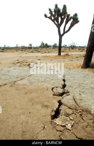 Earthquake quake tremor fault California San Andreas Landers 1992 '7.3 Richter' scale Richter shake crack earth seismic Stock Photo