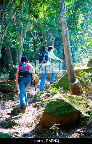 Young couple walking in forest with hiking equipment rear view Stock Photo