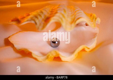 Pearl in mussel shell Stock Photo