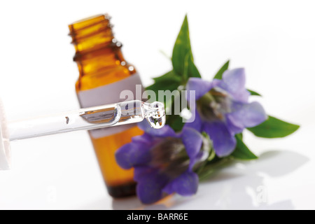 Bottle with Bach Flower Stock Remedy, Gentian (Gentiana) Stock Photo