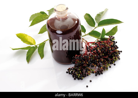 Elderberry wine and black elder (Sambucus nigra), elevated view Stock Photo