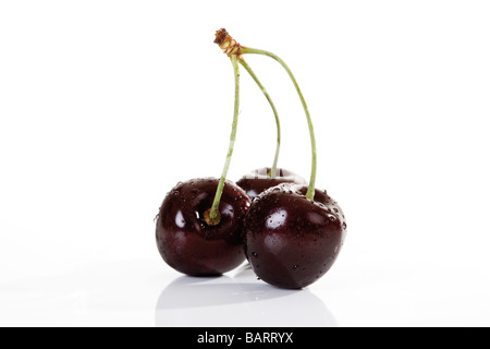 Sour cherries with water droplets, close-up Stock Photo