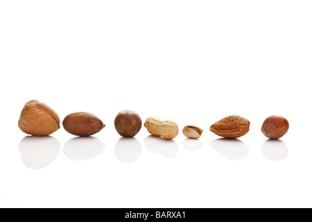 Nuts in a row Stock Photo