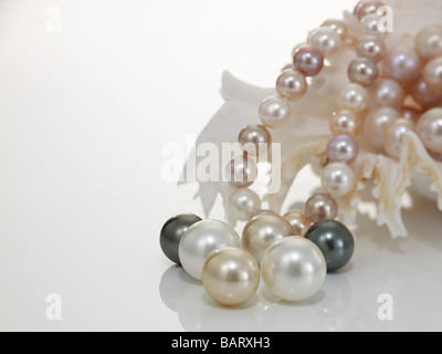 Pearl necklet and pearls with nautilus Stock Photo