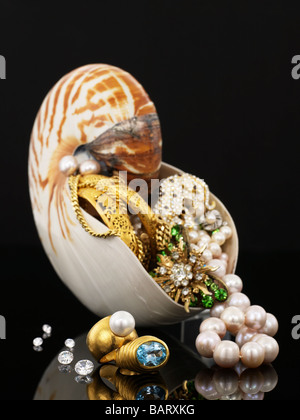 Nautilus and jewellery Stock Photo