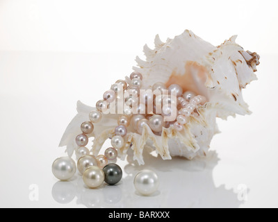 Pearl necklet and pearls with nautilus Stock Photo