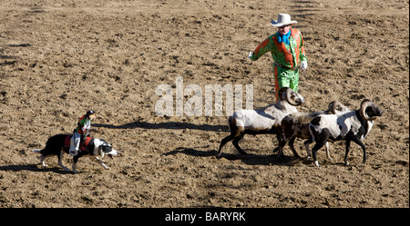 US ANGOLA - Louisiana State Prison Rodeo PHOTO GERRIT DE HEUS Stock Photo