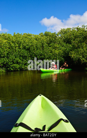 Sea kayaking the mangroves in Lac Bay Bonaire Stock Photo