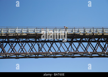 Cyclists on Five Mile Creek Bridge Otago Central Rail Trail near Hyde Central Otago South Island New Zealand Stock Photo