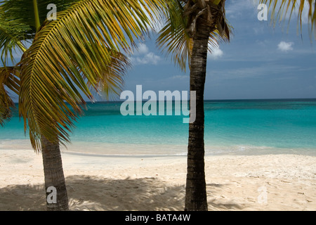 Caribbean Island Dream: Turquoise Ocean, Coral Sand and Palm Trees, Grenada. Eastern Caribbean. Stock Photo