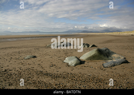 Town of Harlech, Wales. Harlech Beach at low tide looking northwest towards Criccieth and Pwlheli. Stock Photo
