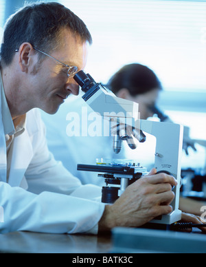 Light microscopy. Researchers examining samples under light microscopes. Stock Photo