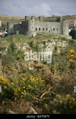 Town of Harlech, Wales. The north and west elevations of the late 13th century Harlech Castle. Stock Photo