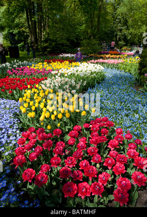 Colourful flowers at Keukenhof Garden in Lisse The Netherlands Stock Photo