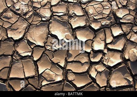 Patterns in dry cracked mud Stock Photo