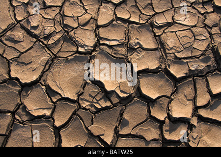 Patterns in dry cracked mud Stock Photo