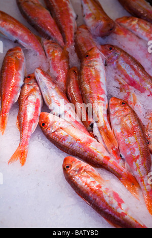 Bastille Street Market Paris Stock Photo