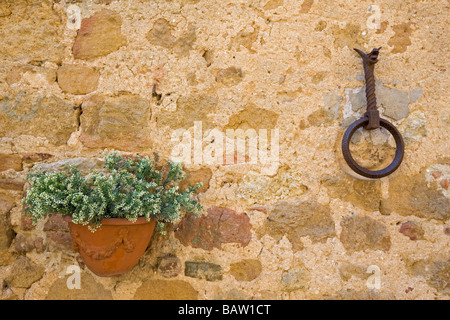Italy, Tuscany, Flower box and iron ring on stone wall, close up Stock Photo