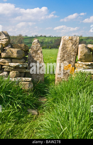 Squeeze stile in dry stone wall, Wensleydale, North Yorkshire. Stock Photo