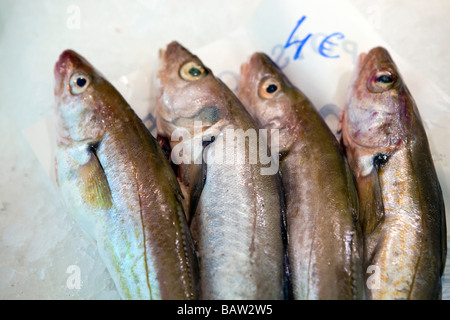 Bastille Street Market Paris Stock Photo