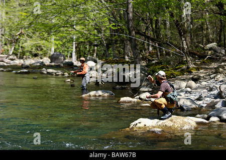 Fly Fishermen Fishing on Middle Fork of Little Pigeon River in Greenbrier Area of  Great Smoky Mountains Tennessee Stock Photo