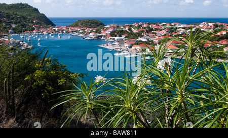 Red tin roof buildings surround Gustavia port St Barts Stock Photo