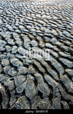 Patterns in the Sand - Jekyll Island, Georgia USA Stock Photo