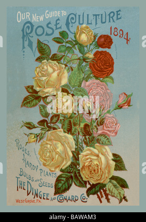 Our New Guide to Rose Culture,1894 Stock Photo