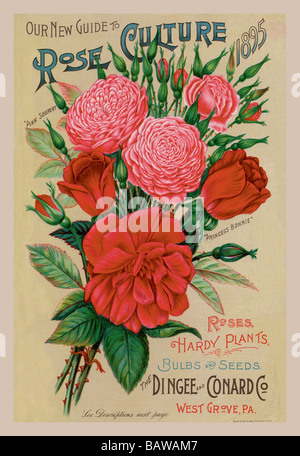 Our New Guide to Rose Culture,1895 Stock Photo